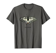 Papilio machaon farfalla usato  Spedito ovunque in Italia 