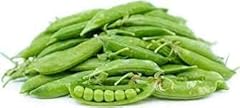 Pea plants full for sale  Delivered anywhere in UK