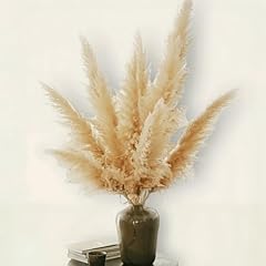 Paquet grandes herbes d'occasion  Livré partout en France