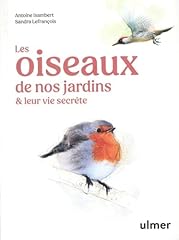 Oiseaux jardins vie d'occasion  Livré partout en Belgiqu