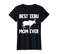 Zebu cow brahman for sale  Delivered anywhere in USA 