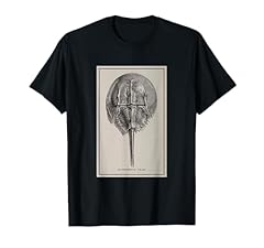 Vintage horseshoe crab for sale  Delivered anywhere in USA 