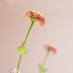 Acoustic image usato Acoustic image usato  Spedito ovunque in Italia