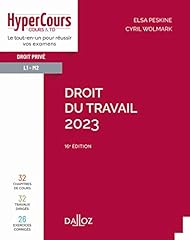 Droit travail 2023 d'occasion  Livré partout en France