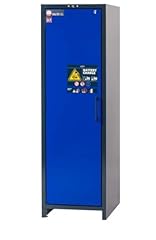 Denios asecos lithium for sale  Delivered anywhere in USA 