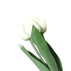 Sjdopulse tulip hotel gebraucht kaufen  Wird an jeden Ort in Deutschland