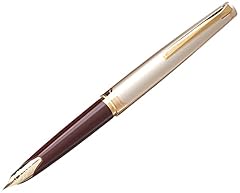 Pilot e95s fountain usato  Spedito ovunque in Italia 
