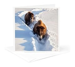 3drose greeting card for sale  Delivered anywhere in USA 
