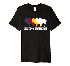 Sisseton wahpeton oyate for sale  Delivered anywhere in USA 