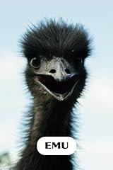 Wondefrul animals emu usato  Spedito ovunque in Italia 
