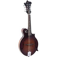 Loar 310f brb for sale  Delivered anywhere in USA 