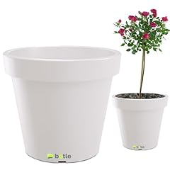 Botle großer blumentopf gebraucht kaufen  Wird an jeden Ort in Deutschland