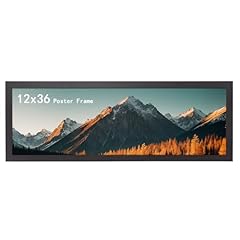 Homeseven 12x36 panoramic for sale  Delivered anywhere in USA 
