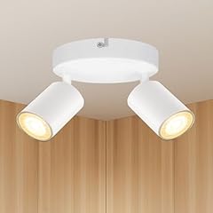 Spotlight ceiling light for sale  Delivered anywhere in USA 