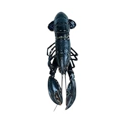 Fish society wild for sale  Delivered anywhere in UK