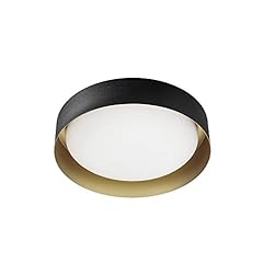 Linealight lampada soffitto usato  Spedito ovunque in Italia 