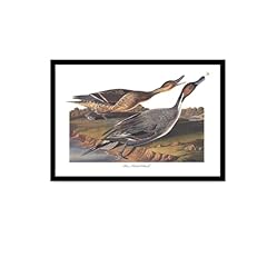 Canvas posters prints for sale  Delivered anywhere in USA 
