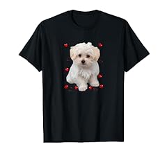 Maltese dog lover for sale  Delivered anywhere in USA 