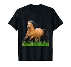Horse buckskin mustang for sale  Delivered anywhere in USA 
