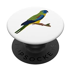 Perruche turquoisine oiseau d'occasion  Livré partout en France