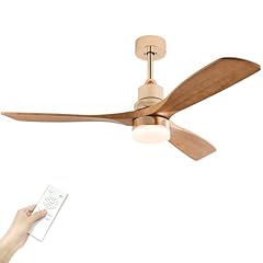 Modern indoor ceiling for sale  Delivered anywhere in USA 