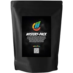 Pokemon mystery pack gebraucht kaufen  Wird an jeden Ort in Deutschland