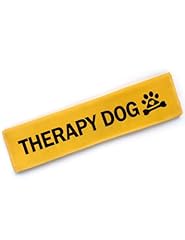 Cgvovgr yellow therapy for sale  Delivered anywhere in USA 
