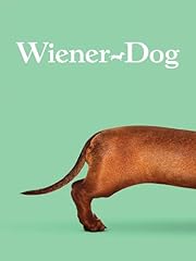 Wiener dog usato  Spedito ovunque in Italia 