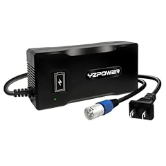 Yzpower 24v lithium for sale  Delivered anywhere in USA 