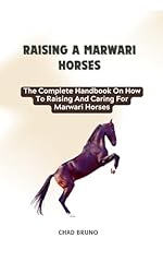 Marwari horses complete for sale  Delivered anywhere in USA 