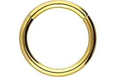 Piercingline segmentring click gebraucht kaufen  Wird an jeden Ort in Deutschland