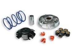 Variatore standard peugeot usato  Spedito ovunque in Italia 