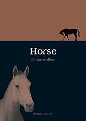 Horse for sale  Delivered anywhere in UK
