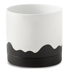 Nihow ceramic plant for sale  Delivered anywhere in USA 