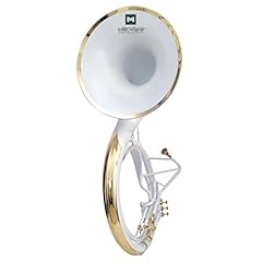 Instrument musique indien d'occasion  Livré partout en France