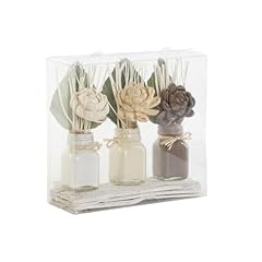 Planta set flor usato  Spedito ovunque in Italia 