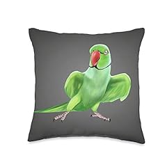 Indian ringneck parrot for sale  Delivered anywhere in USA 