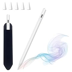 Penna per apple usato  Spedito ovunque in Italia 