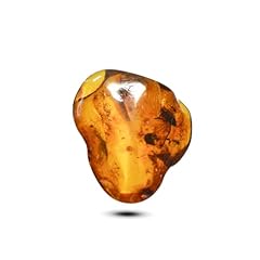 Baltic amber berry for sale  Delivered anywhere in UK