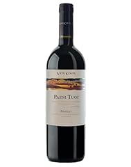 Barolo docg paesi usato  Spedito ovunque in Italia 