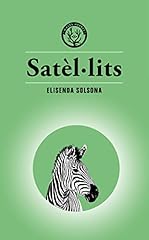 Satèl lits usato  Spedito ovunque in Italia 