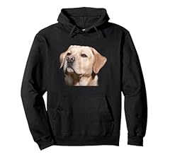 Labrador retriever razza usato  Spedito ovunque in Italia 
