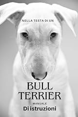 Nella testa bull usato  Spedito ovunque in Italia 