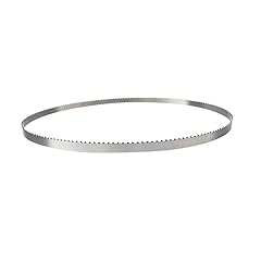Lama nastro 1712x10x0.65 usato  Spedito ovunque in Italia 