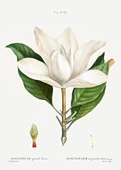 Eurisko studios botanical for sale  Delivered anywhere in USA 