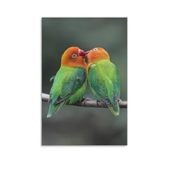 Fischer lovebird pair for sale  Delivered anywhere in USA 