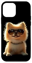 Pomerania cane pomeranian usato  Spedito ovunque in Italia 