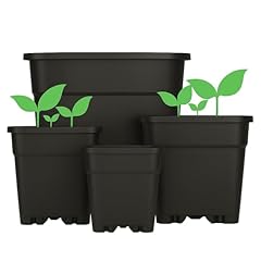 Weedness vaso fiori usato  Spedito ovunque in Italia 