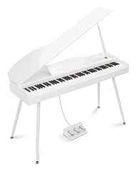 Ktaxon key weighted for sale  Delivered anywhere in USA 