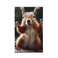 Squirrel funny animal for sale  Delivered anywhere in USA 